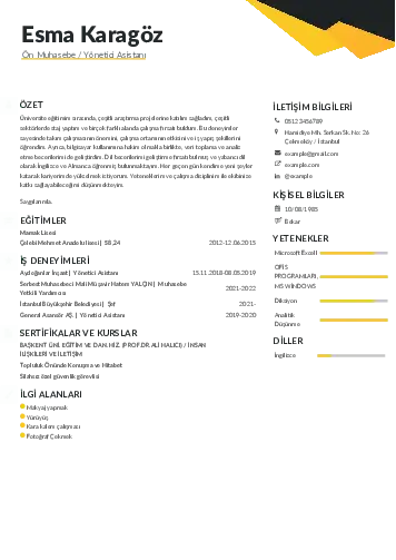 Yönetici Asistanı Cv Örnekleri cv indir